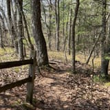 Hackers Falls and Cliff Trail Loop, Pennsylvania - 1,901 Reviews, Map ...