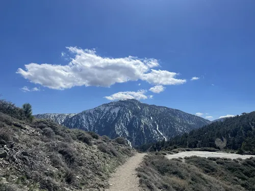 Best Wild Flowers Trails in Devils Punchbowl Natural Area | AllTrails