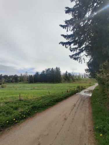 Korbach - Lelbach - Lengefeld