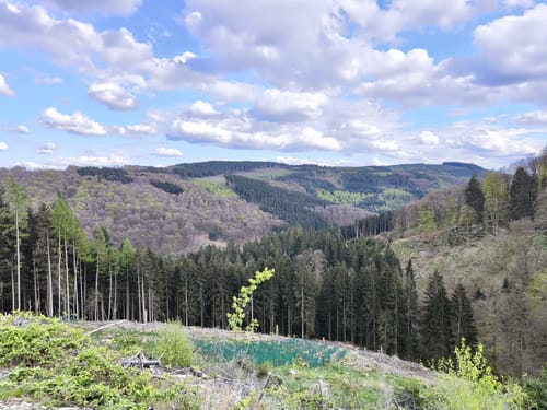 Dörnbergrunde