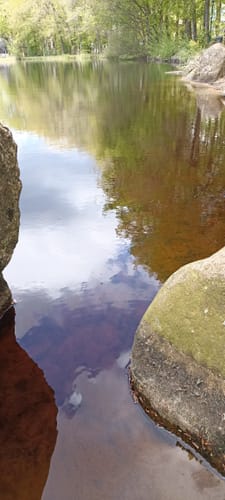 Um den Mühlenteich