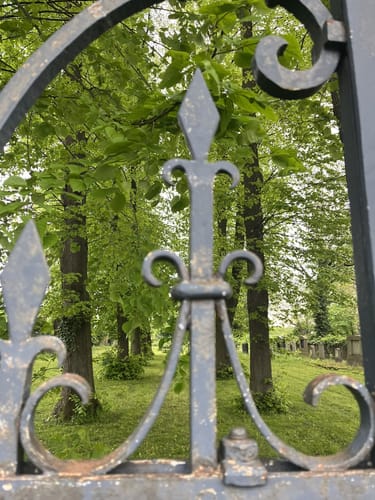 Von Elsdorf rund um den Stadtwald