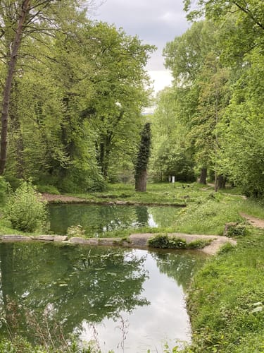Von Burg Windeck durch das NSG Lennebergwald