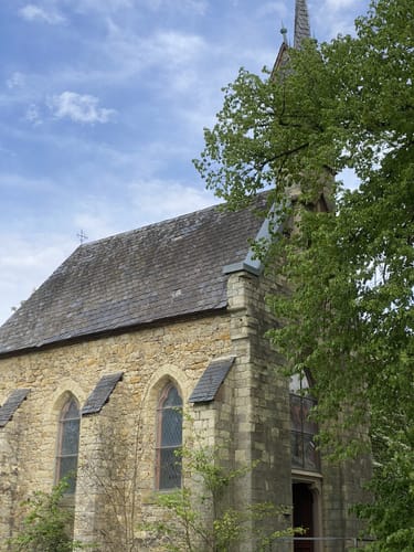 Von Burg Windeck durch das NSG Lennebergwald
