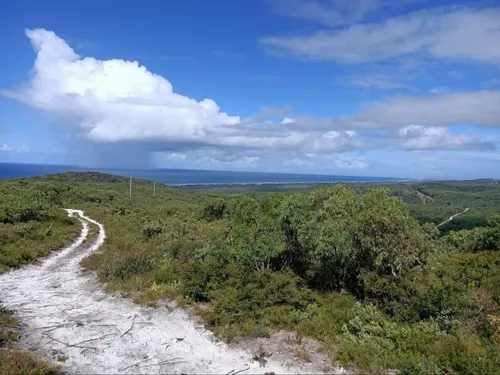 Best Walking Trails in Naree Budjong Djara National Park AllTrails