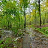 Devil's Den Preserve Trail, Connecticut - 555 Reviews, Map | AllTrails