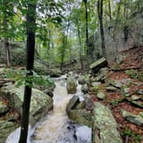 Devil's Den Preserve Trail, Connecticut - 555 Reviews, Map | AllTrails