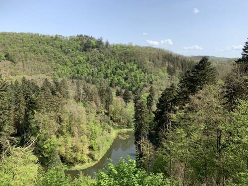 Eifelsteig Etappe 12: Manderscheid - Himmerod
