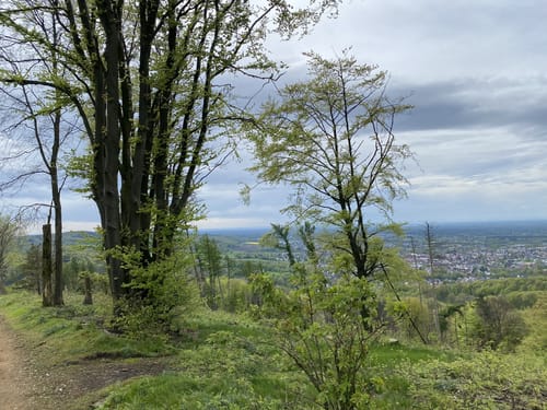 Hermannsweg Etappe 5: Borgholzhausen - Bielefeld