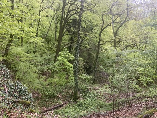 Hermannsweg Etappe 5: Borgholzhausen - Bielefeld