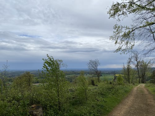Hermannsweg Etappe 5: Borgholzhausen - Bielefeld