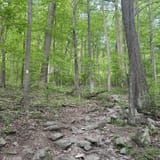 Raven Rocks via Appalachian Trail, Virginia - 6,000 Reviews, Map ...