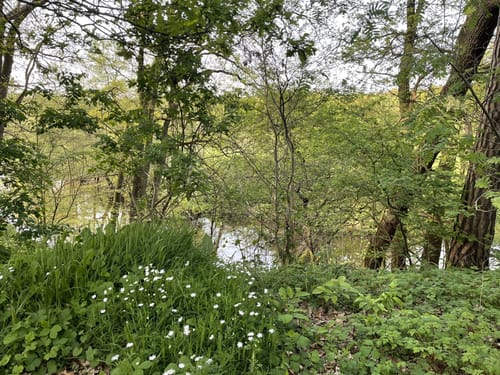 Gut Altona ab Burgberg Wildeshausen