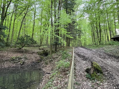Kerstlingeröder Feld-Runde