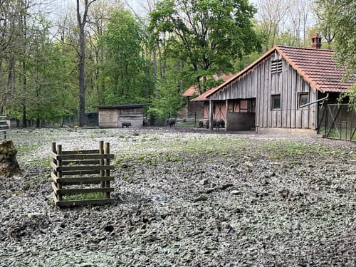 Kerstlingeröder Feld-Runde