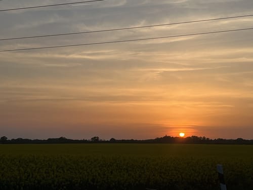 Sachsenwald: Geesthach - Krabbenkamp
