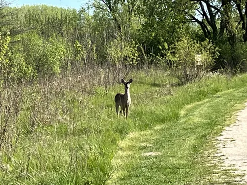 Best Hikes and Trails in Oak Forest Heritage Preserve AllTrails