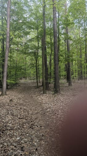 Dresden Junge Heide Runde