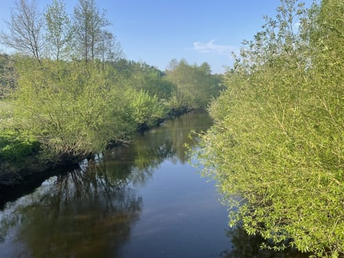 Glaner Braut ab Wildeshausen