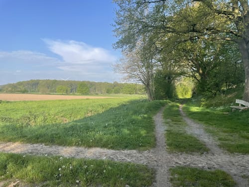Glaner Braut ab Wildeshausen