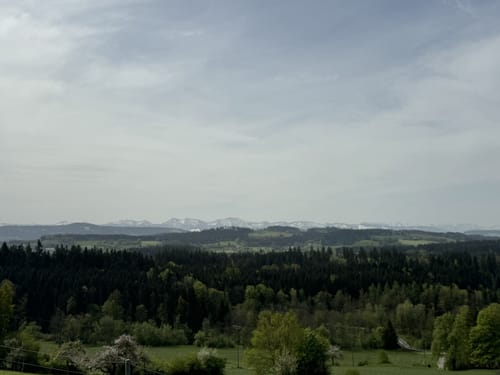 Neutrauchburg