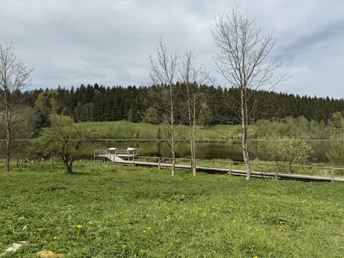 Neutrauchburg