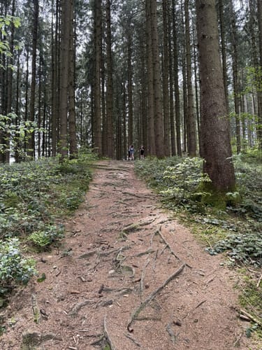 Neutrauchburg