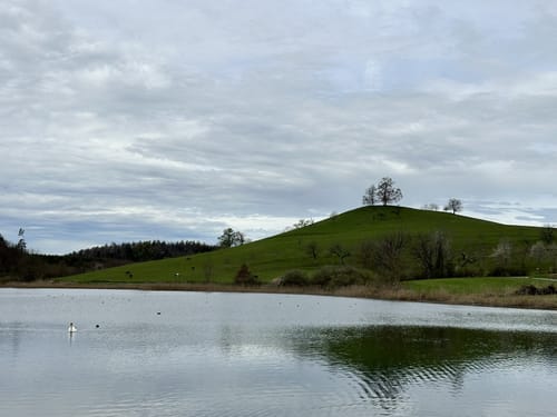 Über den Prälatenweg und rund um den Affenberg