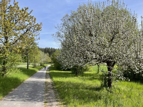 Würm-Enztal RTF – Tour E