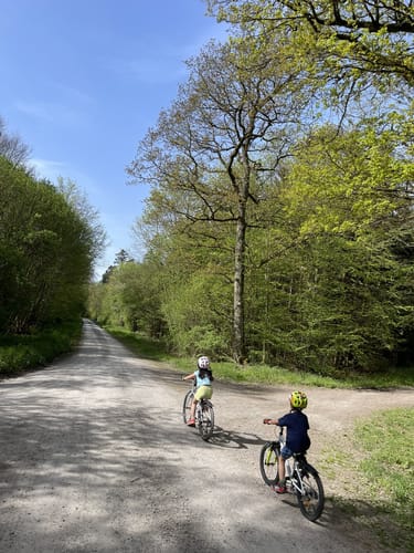 Würm-Enztal RTF – Tour E