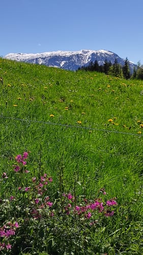 Von Piding zur Stroblalm