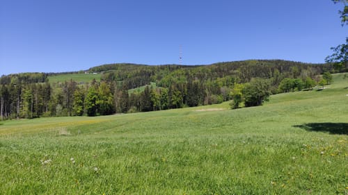 Von Piding zur Stroblalm