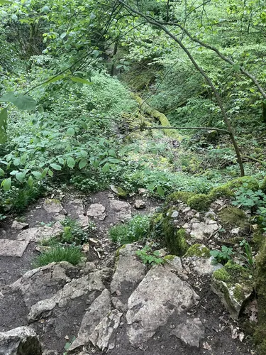 Best Moderate Trails in Réserve naturelle de la Combe Lavaux Jean