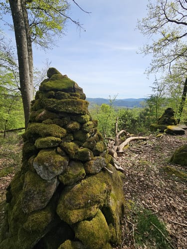 Busenberger Holzschuhpfad (Premiumwanderweg)