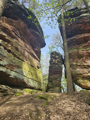 Busenberger Holzschuhpfad (Premiumwanderweg)