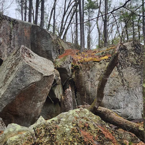 Best Walking Trails in Deerfield AllTrails