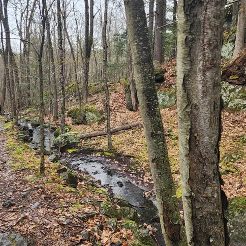 Best Walking Trails in Deerfield AllTrails