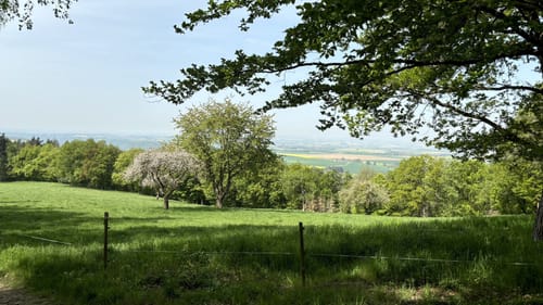 Premiumwanderpfad: Bergschluchtenpfad Ehrenburg