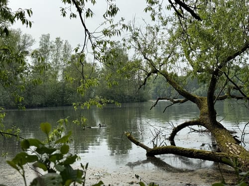 Um den Heider Bergsee