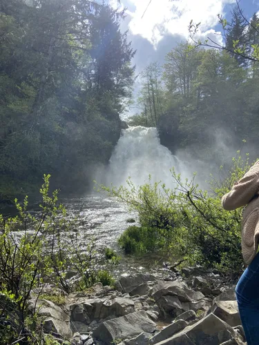 Coastal Bliss: 5 Stunning Hiking Trails in Astoria – Oregon