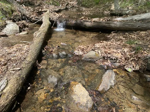 Best Walking Trails in Great Cacapon AllTrails
