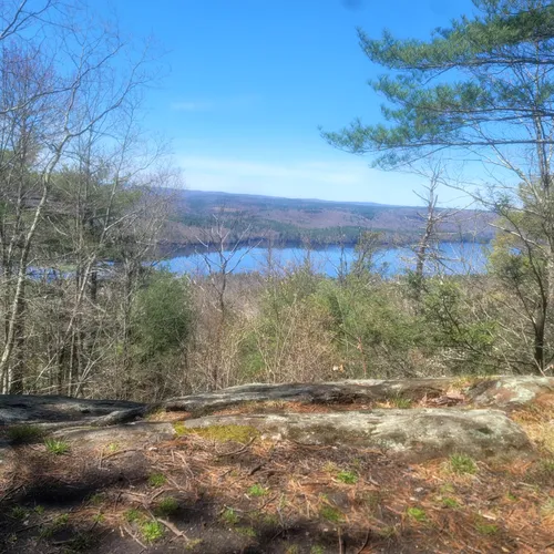 Best Walking Trails in Barkhamsted AllTrails