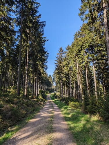 Herrenweg bis zur Wegscheide