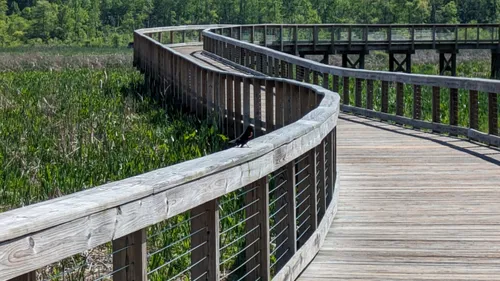 Best Partially Paved Trails in Woodbridge | AllTrails