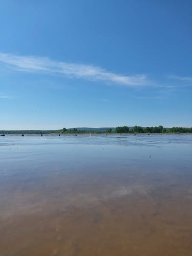 Um den Heerter See