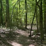 Seven Oaks Preserve Trail Loop from South New Hope Road, North Carolina ...