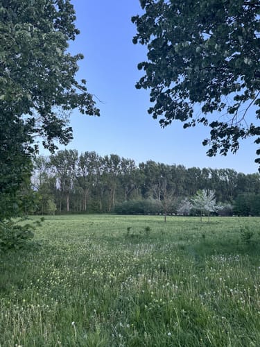 Kleine Isar-Runde bei Garching