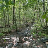 Raven Rocks via Appalachian Trail, Virginia - 6,025 Reviews, Map ...