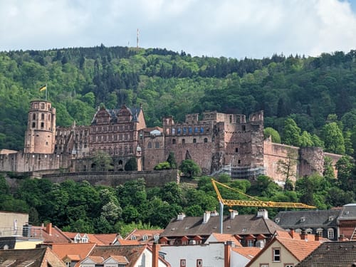 Stadtwanderung: Altstadt, Schloss, Philosophenweg
