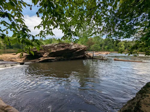 Best Wild Flowers Trails in Mamers AllTrails